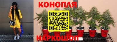гидра Моздок