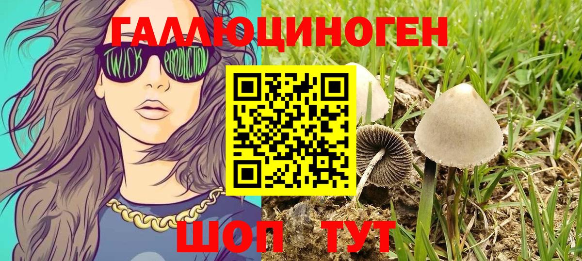 Чусовой  Псилоцибиновые грибы Magic Shrooms  Вход с VPN 