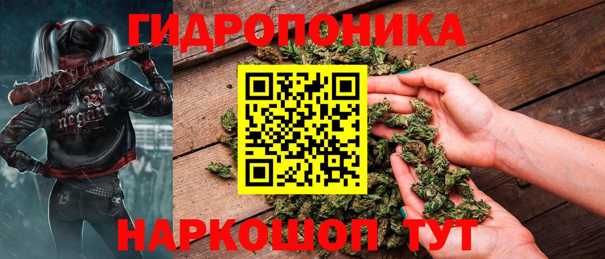 Шишки марихуана OG Kush Чусовой